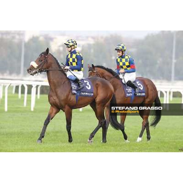 Gran Criterium - Umberto Rispoli on Farinacci and Fabio Branca on Hero Look Milan, San Siro racecourse,12 ottobre 2014 photo Stefano Grasso/Trenno srl