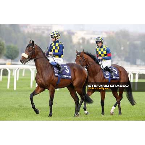 Gran Criterium - Umberto Rispoli on Farinacci and Fabio Branca on Hero Look Milan, San Siro racecourse,12 ottobre 2014 photo Stefano Grasso/Trenno srl