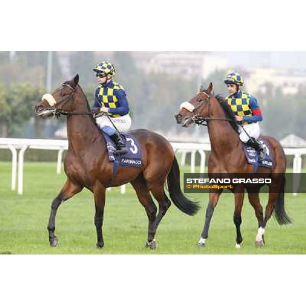 Gran Criterium - Umberto Rispoli on Farinacci and Fabio Branca on Hero Look Milan, San Siro racecourse,12 ottobre 2014 photo Stefano Grasso/Trenno srl