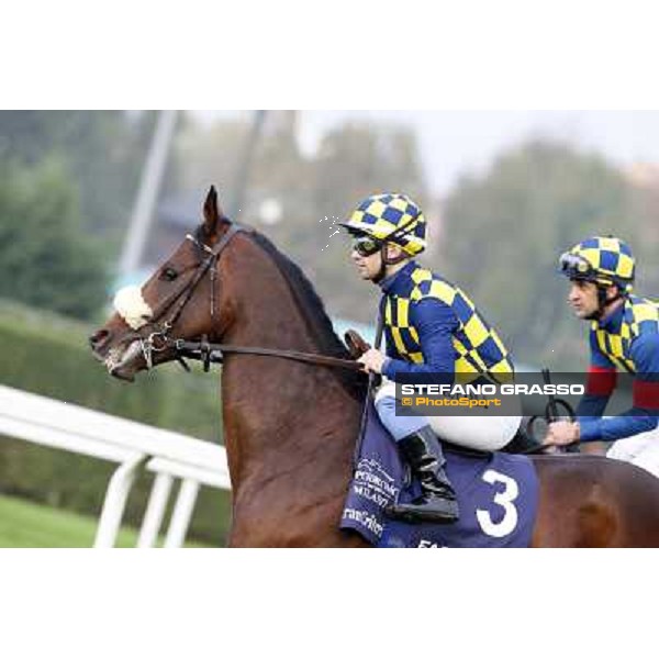 Gran Criterium - Umberto Rispoli on Farinacci and Fabio Branca on Hero Look Milan, San Siro racecourse,12 ottobre 2014 photo Stefano Grasso/Trenno srl