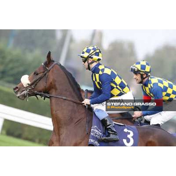 Gran Criterium - Umberto Rispoli on Farinacci and Fabio Branca on Hero Look Milan, San Siro racecourse,12 ottobre 2014 photo Stefano Grasso/Trenno srl