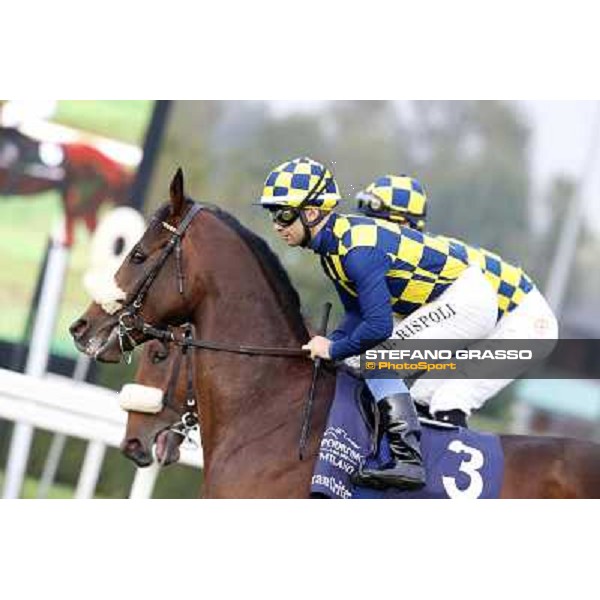 Gran Criterium - Umberto Rispoli on Farinacci and Fabio Branca on Hero Look Milan, San Siro racecourse,12 ottobre 2014 photo Stefano Grasso/Trenno srl