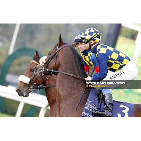 Gran Criterium - Umberto Rispoli on Farinacci and Fabio Branca on Hero Look Milan, San Siro racecourse,12 ottobre 2014 photo Stefano Grasso/Trenno srl