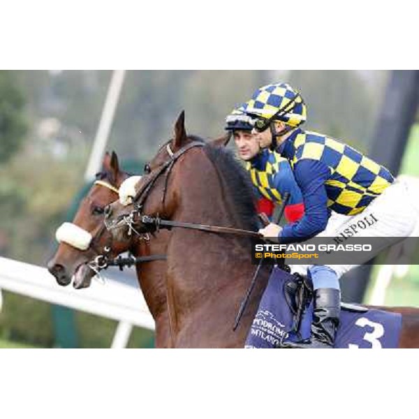 Gran Criterium - Umberto Rispoli on Farinacci and Fabio Branca on Hero Look Milan, San Siro racecourse,12 ottobre 2014 photo Stefano Grasso/Trenno srl