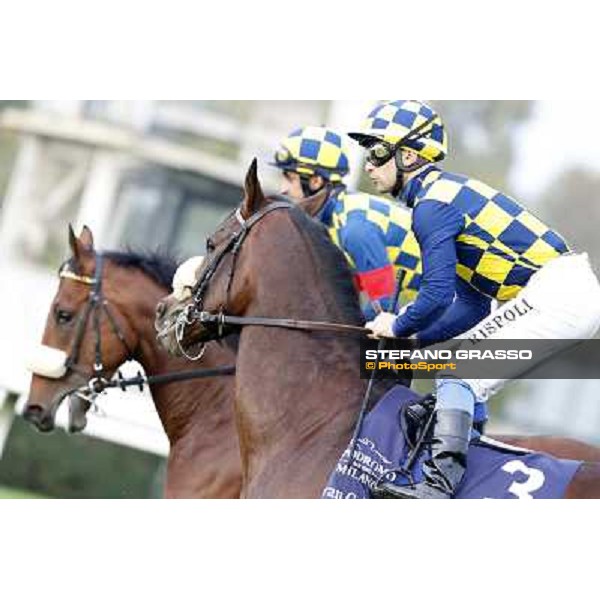 Gran Criterium - Umberto Rispoli on Farinacci and Fabio Branca on Hero Look Milan, San Siro racecourse,12 ottobre 2014 photo Stefano Grasso/Trenno srl
