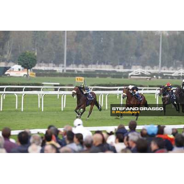Fabio Branca on Hero Look goes to win the Gran Criterium. Dario Vargiou and Ginwar finish second Milan, San Siro racecourse,12 ottobre 2014 photo Stefano Grasso/Trenno srl