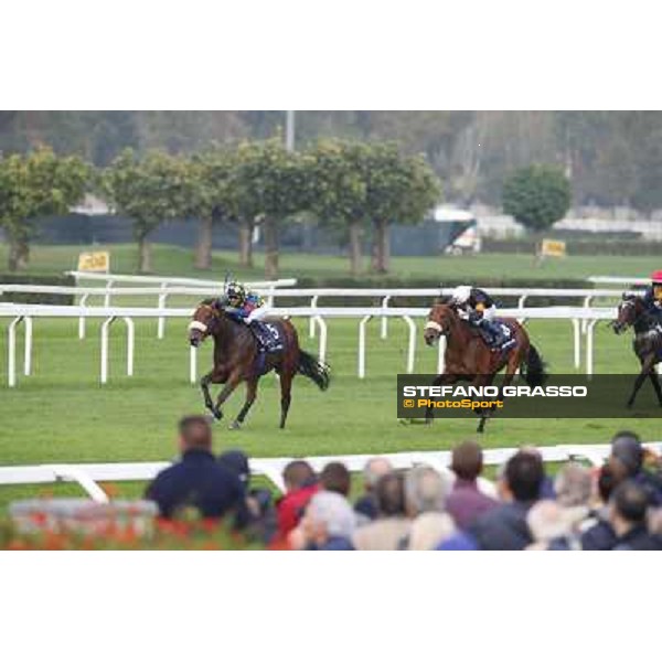 Fabio Branca on Hero Look goes to win the Gran Criterium. Dario Vargiou and Ginwar finish second Milan, San Siro racecourse,12 ottobre 2014 photo Stefano Grasso/Trenno srl