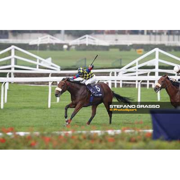 Fabio Branca on Hero Look wins the Gran Criterium. Milan, San Siro racecourse,12 ottobre 2014 photo Stefano Grasso/Trenno srl