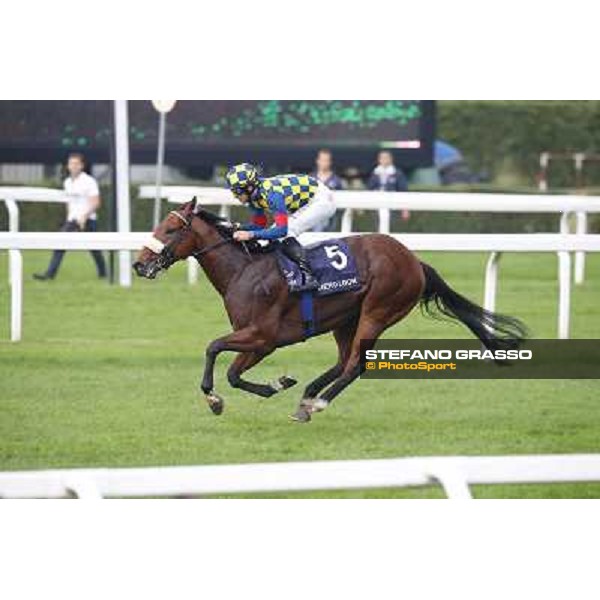 Fabio Branca on Hero Look wins the Gran Criterium. Milan, San Siro racecourse,12 ottobre 2014 photo Stefano Grasso/Trenno srl