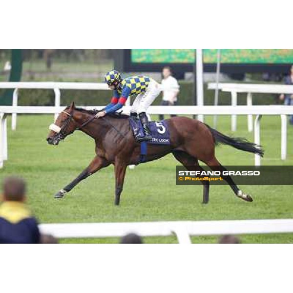 Fabio Branca on Hero Look wins the Gran Criterium. Milan, San Siro racecourse,12 ottobre 2014 photo Stefano Grasso/Trenno srl