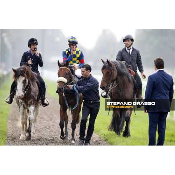 Fabio Branca on Hero Look with Stefano Botti after winning the Gran Criterium. Milan, San Siro racecourse,12 ottobre 2014 photo Stefano Grasso/Trenno srl