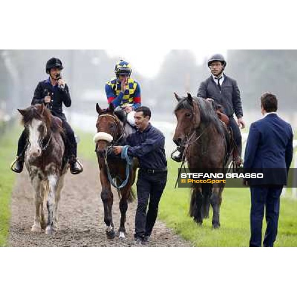 Fabio Branca on Hero Look with Stefano Botti after winning the Gran Criterium. Milan, San Siro racecourse,12 ottobre 2014 photo Stefano Grasso/Trenno srl