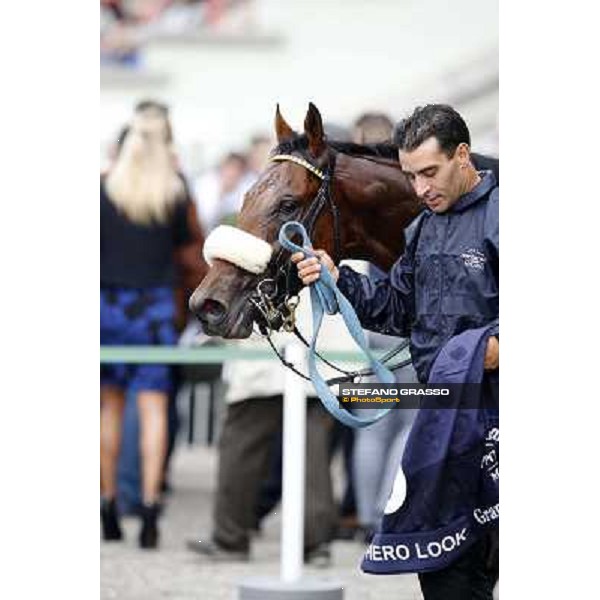 Hero Look parades after winning the Gran Criterium. Milan, San Siro racecourse,12 ottobre 2014 photo Stefano Grasso/Trenno srl