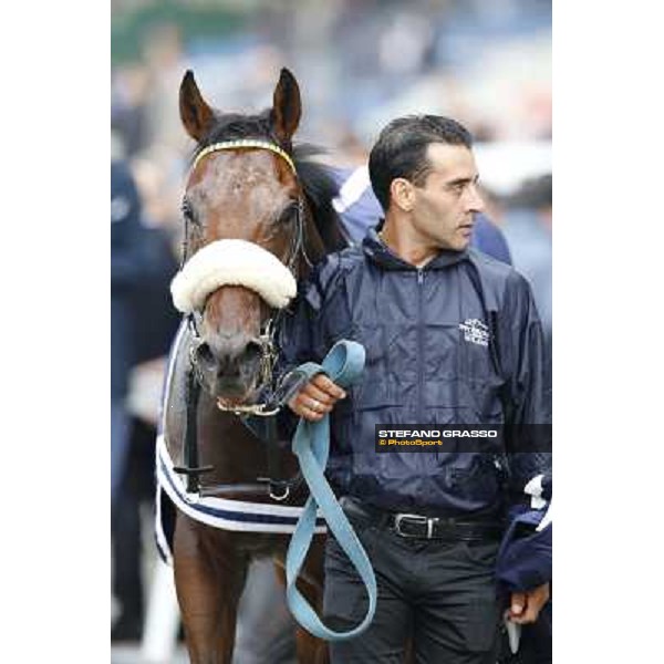 Hero Look parades after winning the Gran Criterium. Milan, San Siro racecourse,12 ottobre 2014 photo Stefano Grasso/Trenno srl