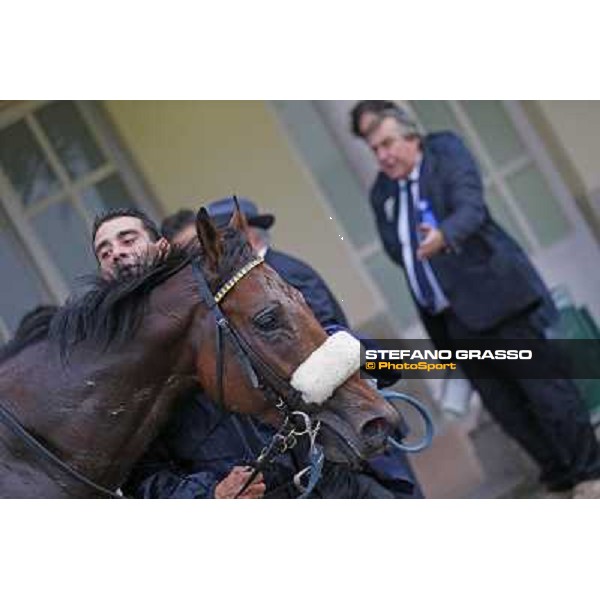 Hero Look parades after winning the Gran Criterium. Milan, San Siro racecourse,12 ottobre 2014 photo Stefano Grasso/Trenno srl