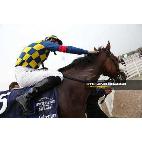 Fabio Branca on Hero Look winners of the Gran Criterium Milan, San Siro racecourse,12 ottobre 2014 photo Stefano Grasso/Trenno srl