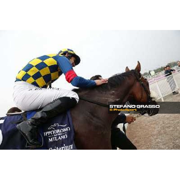 Fabio Branca on Hero Look winners of the Gran Criterium Milan, San Siro racecourse,12 ottobre 2014 photo Stefano Grasso/Trenno srl