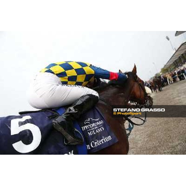 Fabio Branca on Hero Look winners of the Gran Criterium Milan, San Siro racecourse,12 ottobre 2014 photo Stefano Grasso/Trenno srl