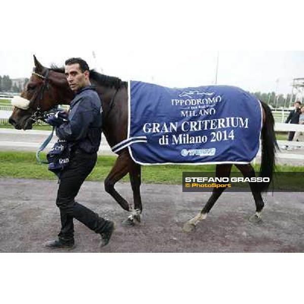 Hero Look parades after winning the Gran Criterium. Milan, San Siro racecourse,12 ottobre 2014 photo Stefano Grasso/Trenno srl