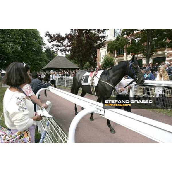 horses parading before the race Deauville, 20th august 2005 ph. Stefano Grasso