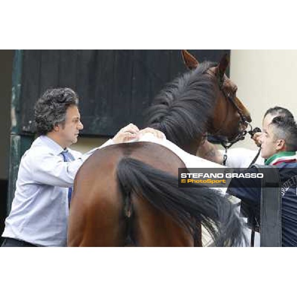 Gran Criterium - A touch of blue - Bruno Grizzetti Milan, San Siro racecourse,12 ottobre 2014 photo Stefano Grasso/Trenno srl