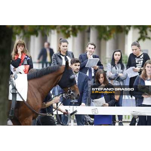 Gran Criterium - A touch of blue Milan, San Siro racecourse,12 ottobre 2014 photo Stefano Grasso/Trenno srl