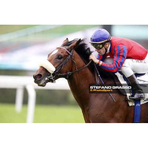 Cristian Demuro on Altroquando wins the Premio Città di Nioceto Milan, San Siro racecourse,12 ottobre 2014 photo Stefano Grasso/Trenno srl