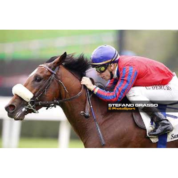 Cristian Demuro on Altroquando wins the Premio Città di Nioceto Milan, San Siro racecourse,12 ottobre 2014 photo Stefano Grasso/Trenno srl