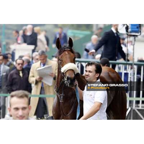 Only For Fun winner of the Premio Arconate Milan, San Siro racecourse,12 ottobre 2014 photo Stefano Grasso/Trenno srl