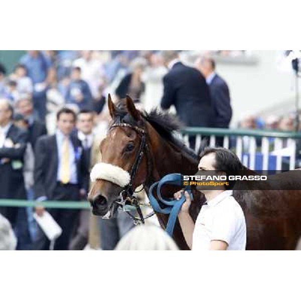 Only For Fun winner of the Premio Arconate Milan, San Siro racecourse,12 ottobre 2014 photo Stefano Grasso/Trenno srl