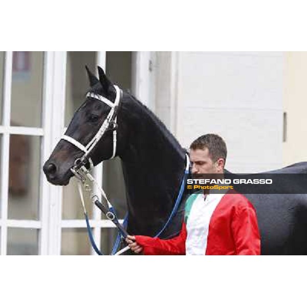 Lili Moon Milan, San Siro racecourse,12 ottobre 2014 photo Stefano Grasso/Trenno srl