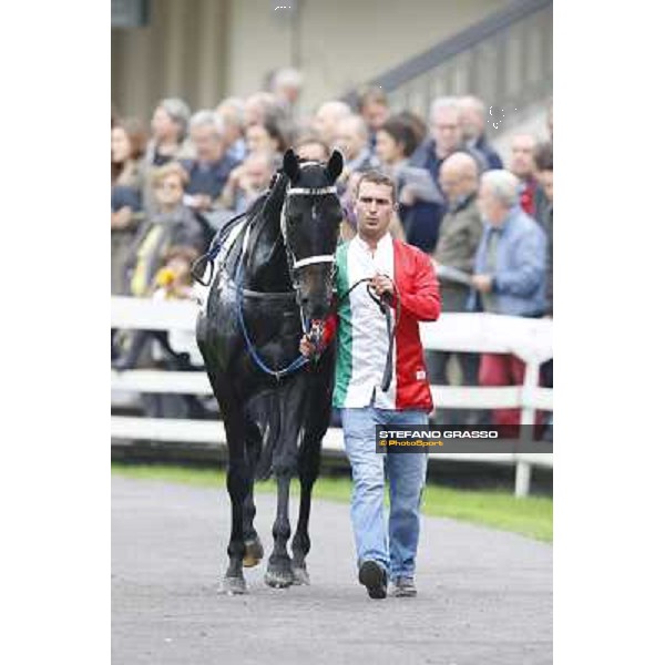 Lili Moon Milan, San Siro racecourse,12 ottobre 2014 photo Stefano Grasso/Trenno srl