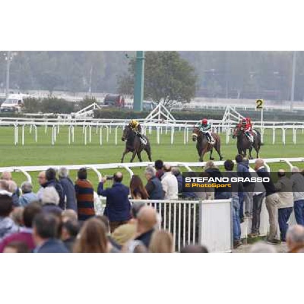 Eduardo Pedroza on Quaduna wins the Premio Verziere - Mem.Aldo Cirla Milan, San Siro racecourse,12 ottobre 2014 photo Stefano Grasso/Trenno srl