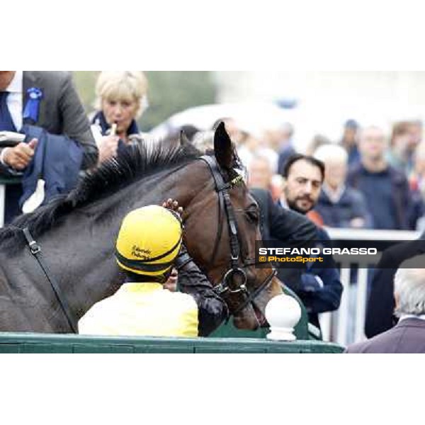 Eduardo Pedroza and Quaduna winners of the Premio Verziere - Mem.Aldo Cirla Milan, San Siro racecourse,12 ottobre 2014 photo Stefano Grasso/Trenno srl