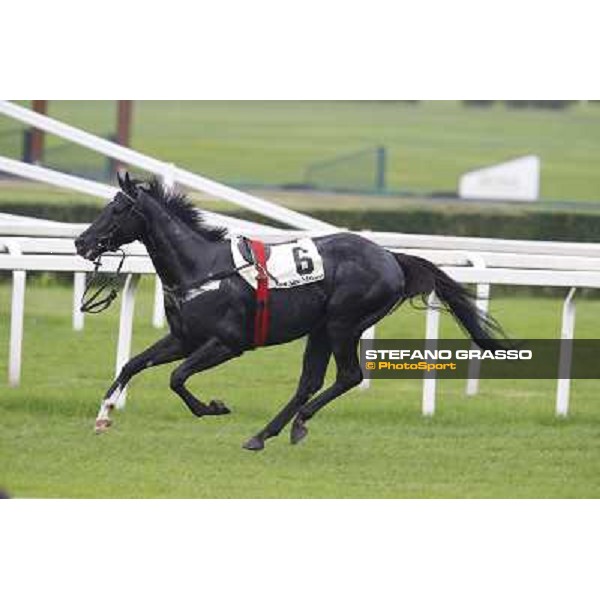 Moisey Milan, San Siro racecourse,12 ottobre 2014 photo Stefano Grasso/Trenno srl