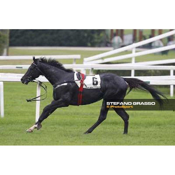 Moisey Milan, San Siro racecourse,12 ottobre 2014 photo Stefano Grasso/Trenno srl