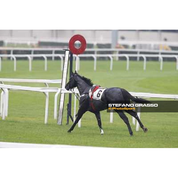 Moisey Milan, San Siro racecourse,12 ottobre 2014 photo Stefano Grasso/Trenno srl