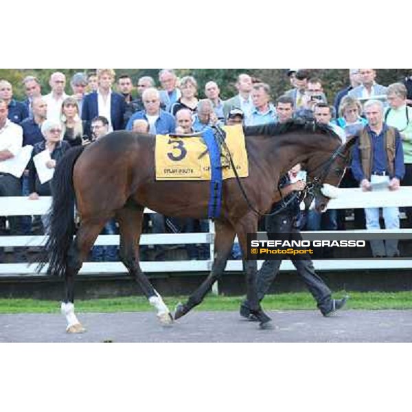 Gran Premio del Jockey Club Dylan Mouth Milano,San Siro racecourse 19 otct.2014 photo Stefano Grasso/Trenno srl