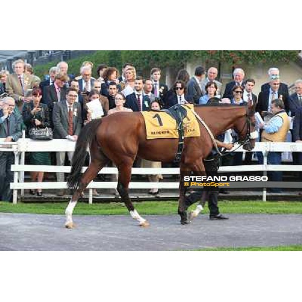 Gran Premio del Jockey Club Biz the Nurse Milano,San Siro racecourse 19 otct.2014 photo Stefano Grasso/Trenno srl