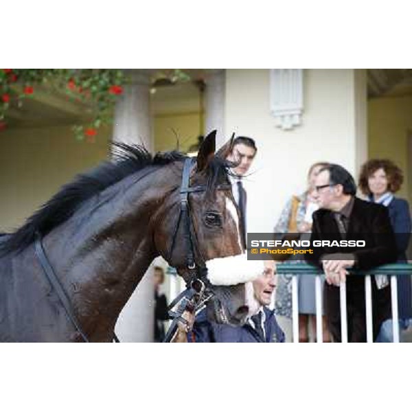 Gran Premio del Jockey Club Dylan Mouth Milano,San Siro racecourse 19 otct.2014 photo Stefano Grasso/Trenno srl