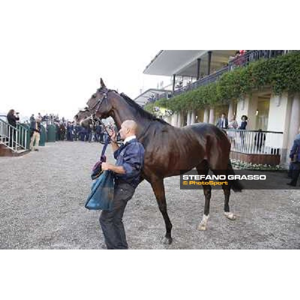 Gran Premio del Jockey Club Dylan Mouth Milano,San Siro racecourse 19 otct.2014 photo Stefano Grasso/Trenno srl