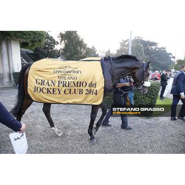 Gran Premio del Jockey Club Dylan Mouth Milano,San Siro racecourse 19 otct.2014 photo Stefano Grasso/Trenno srl