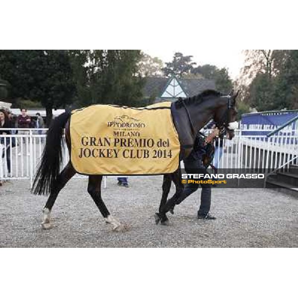 Gran Premio del Jockey Club Dylan Mouth Milano,San Siro racecourse 19 otct.2014 photo Stefano Grasso/Trenno srl