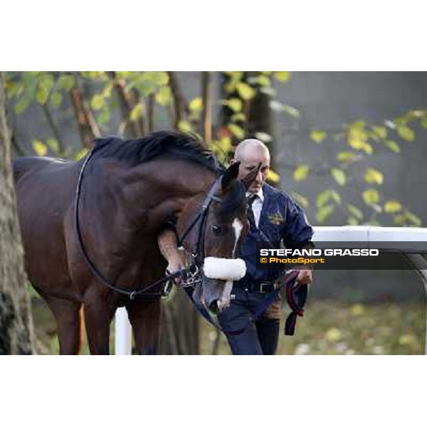 Gran Premio del Jockey Club Dylan Mouth Milano,San Siro racecourse 19 otct.2014 photo Stefano Grasso/Trenno srl