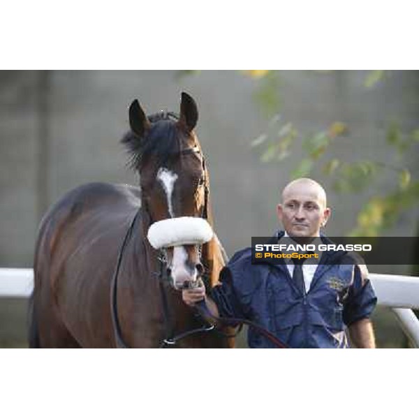 Gran Premio del Jockey Club Dylan Mouth Milano,San Siro racecourse 19 otct.2014 photo Stefano Grasso/Trenno srl