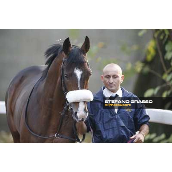 Gran Premio del Jockey Club Dylan Mouth Milano,San Siro racecourse 19 otct.2014 photo Stefano Grasso/Trenno srl