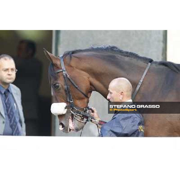 Gran Premio del Jockey Club Dylan Mouth Milano,San Siro racecourse 19 otct.2014 photo Stefano Grasso/Trenno srl