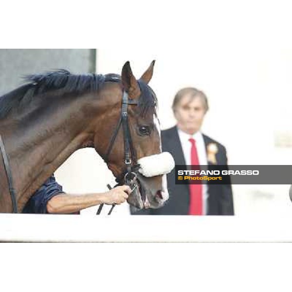 Gran Premio del Jockey Club Dylan Mouth Milano,San Siro racecourse 19 otct.2014 photo Stefano Grasso/Trenno srl