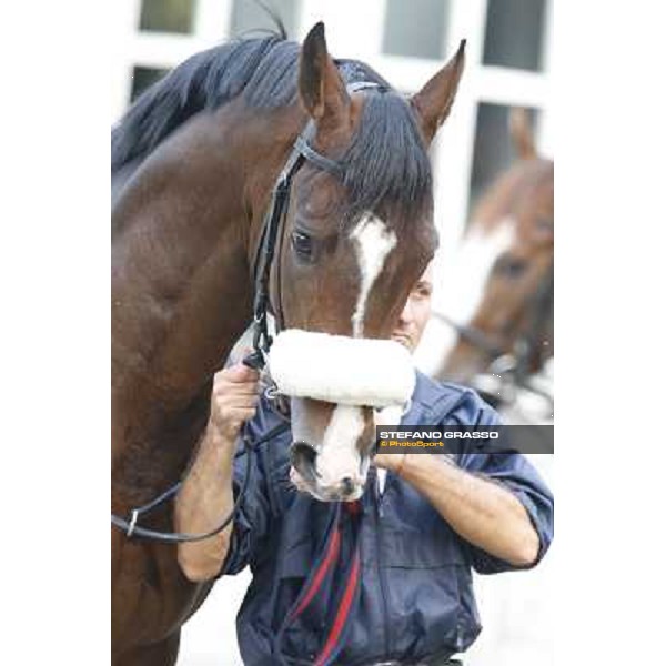 Gran Premio del Jockey Club Dylan Mouth Milano,San Siro racecourse 19 otct.2014 photo Stefano Grasso/Trenno srl