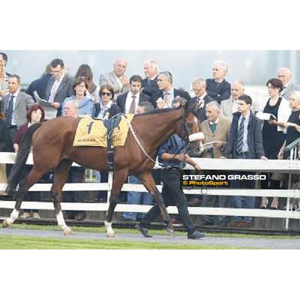 Gran Premio del Jockey Club Biz the Nurse Milano,San Siro racecourse 19 otct.2014 photo Stefano Grasso/Trenno srl